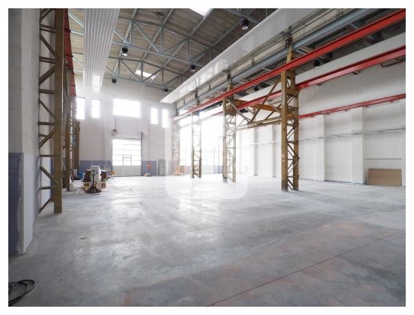 20537 Hamburg, Halle/Lager/Produktion zur Miete | Halle | Jacobi Immobilien