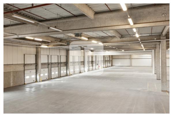 39171 Sülzetal, Halle/Lager/Produktion zur Miete | Innenansicht | Jacobi Immobilien