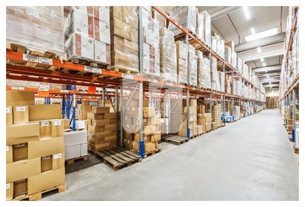 39171 Sülzetal, Halle/Lager/Produktion zur Miete | Innenansicht | Jacobi Immobilien