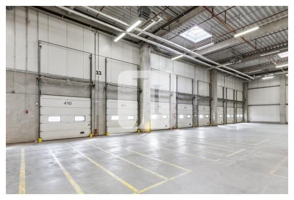 39171 Sülzetal, Halle/Lager/Produktion zur Miete | Innenansicht Tore | Jacobi Immobilien