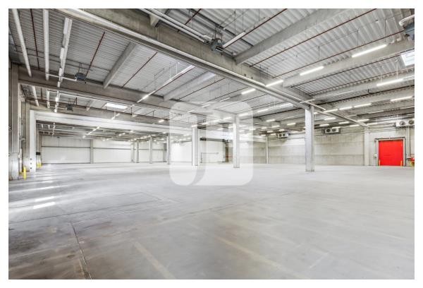 39171 Sülzetal, Halle/Lager/Produktion zur Miete | Innenansicht | Jacobi Immobilien