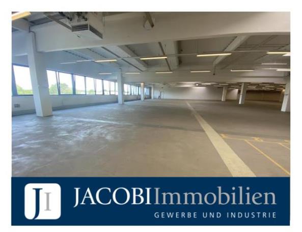 ab ca. 5.500 m² – ca. 11.300 m² Lager-/Logistikfläche auf Rampenhöhe, 23843 Bad Oldesloe, Halle/Lager/Produktion