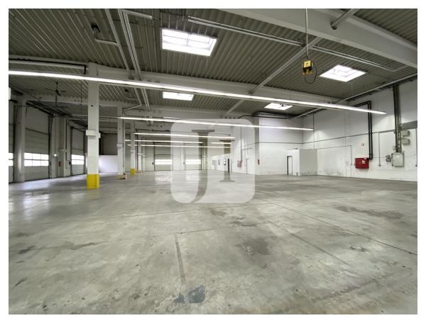 04158 Leipzig, Halle/Lager/Produktion zur Miete | Innenansicht 2 | Jacobi Immobilien