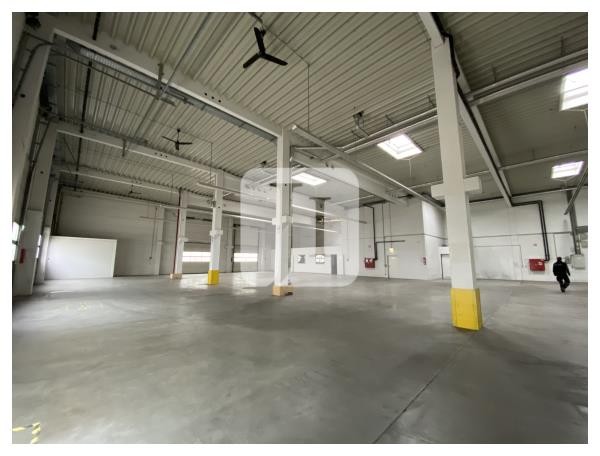 04158 Leipzig, Halle/Lager/Produktion zur Miete | Innenansicht 8 | Jacobi Immobilien