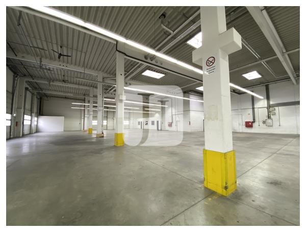 04158 Leipzig, Halle/Lager/Produktion zur Miete | Innenansicht 3 | Jacobi Immobilien