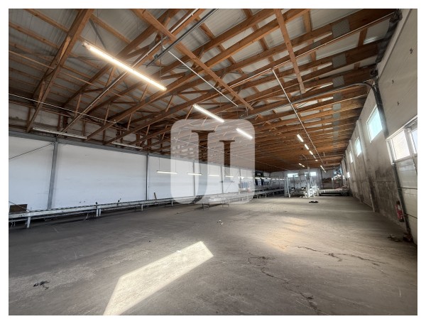 04758 Oschatz, Halle/Lager/Produktion zur Miete | Hallenfläche | Jacobi Immobilien