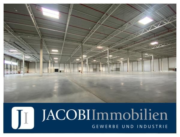 -NEUBAU- ca. 27.600 m² moderne Lager-/Fertigungsfläche (teilbar ab ca. 4.600 m²) in zentraler Lage, 23843 Bad Oldesloe, Halle/Lager/Produktion