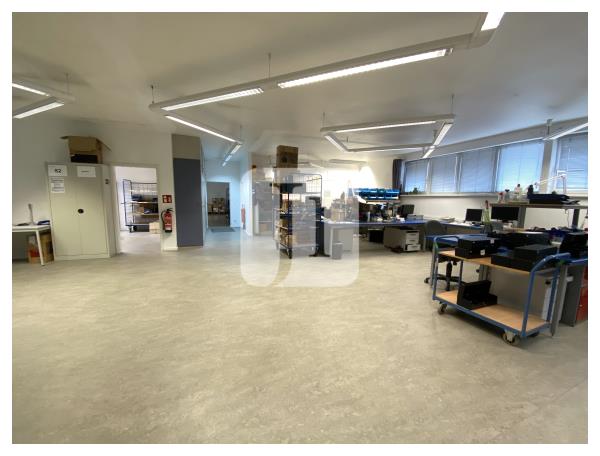 21031 Hamburg, Halle/Lager/Produktion zur Miete | Halle | Jacobi Immobilien