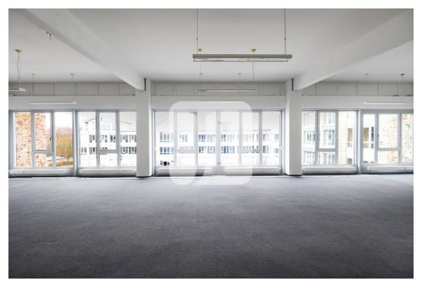 22143 Hamburg, Büro/Praxis zur Miete | Büro | Jacobi Immobilien