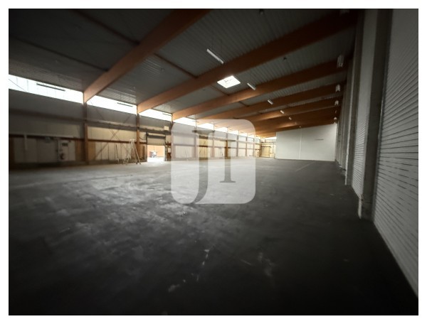 21502 Geesthacht, Halle/Lager/Produktion zur Miete | Innenansicht | Jacobi Immobilien
