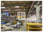 ca. 3.973 m² große Produktionshalle mit ebenerdiger Andienung - Innenansicht Halle