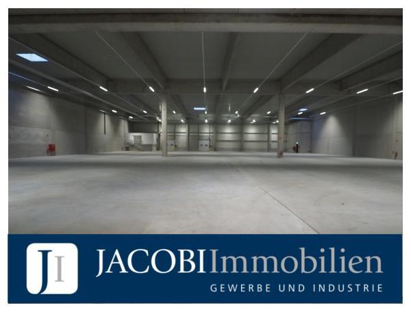 ab ca. 3.248 m² bis ca. 7.333 m² Lager-/Fertigungsflächen sowie ca. 332 m² Büro-/Sozialfläche, 22880 Wedel, Halle/Lager/Produktion