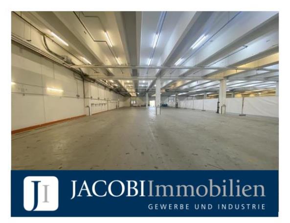 ca. 7.300 m² Lager-/Logistikfläche in zentraler Lage, 23843 Bad Oldesloe, Halle/Lager/Produktion