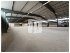 Lagerhalle - ca. 3.403 m² Lagerfläche (teilbar ab ca. 882 m²) auf Rampenhöhe