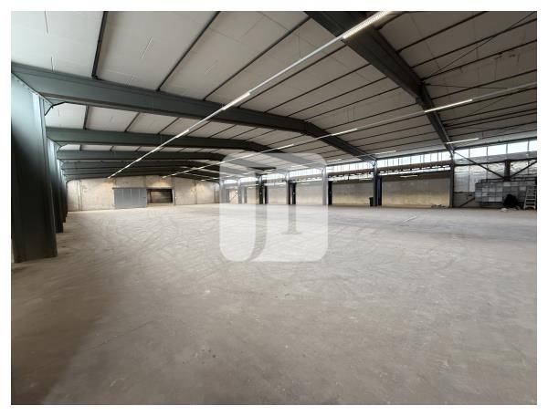 19243 Wittenburg, Halle/Lager/Produktion zur Miete | Lagerhalle | Jacobi Immobilien