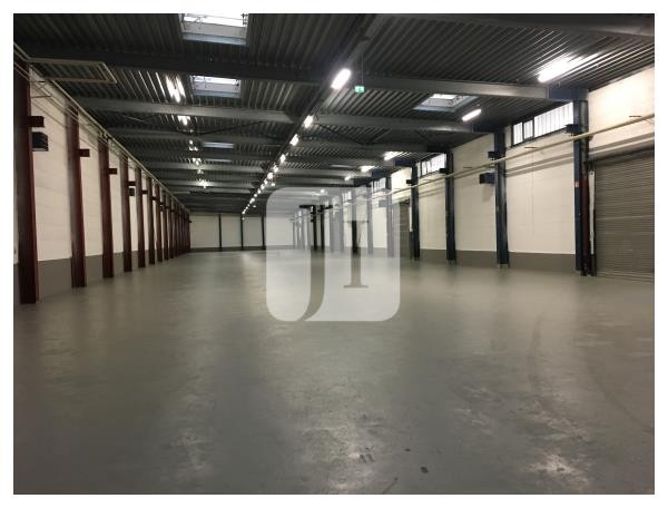 22113 Hamburg, Halle/Lager/Produktion zur Miete | Beispielbild | Jacobi Immobilien