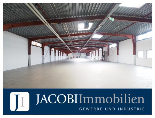 ab ca. 450 m² bis ca. 6.145 m² Lager-/Fertigungsflächen ebenerdig sowie auf Rampenhöhe, 22113 Hamburg, Halle/Lager/Produktion