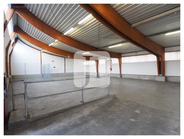 21107 Hamburg, Halle/Lager/Produktion zur Miete | Lagerhalle | Jacobi Immobilien