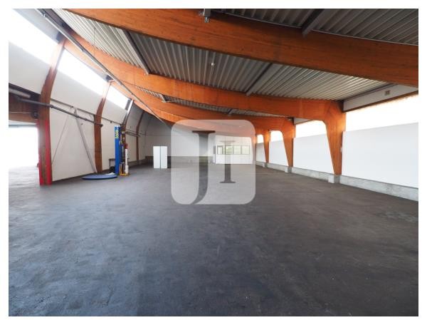 21107 Hamburg, Halle/Lager/Produktion zur Miete | Hallenabschnitt | Jacobi Immobilien