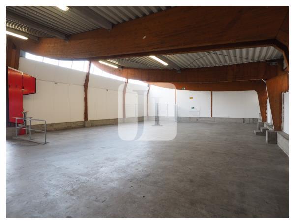 21107 Hamburg, Halle/Lager/Produktion zur Miete | Lagerhalle | Jacobi Immobilien