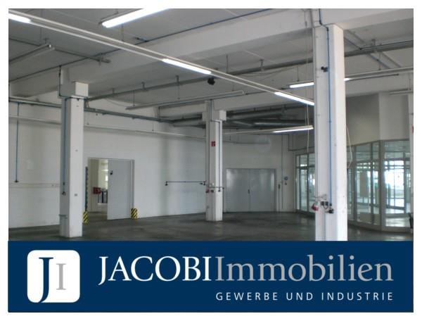 ca. 1.500 m² hochwertige Lager-/Gewerbe-/Ausstellungsfläche und ca. 1.303 m² Büro im OG, 22047 Hamburg, Halle/Lager/Produktion