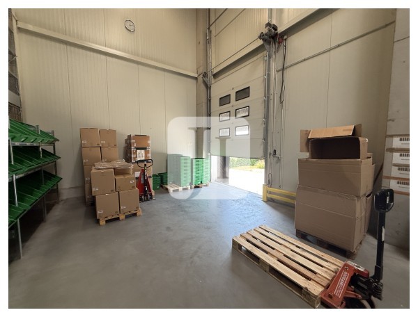 21244 Buchholz, Halle/Lager/Produktion zur Miete | Andienung | Jacobi Immobilien