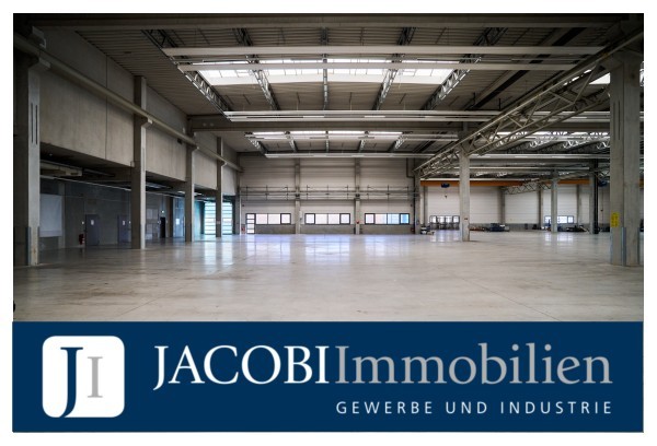ca. 6.842 m² Produktions-/Lagerhalle und ca. 1.336 m² Büro-/Sozialflächen (teilbar ab ca. 271m²), 09629 Reinsberg, Halle/Lager/Produktion