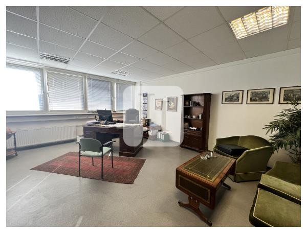 22145 Hamburg, Halle/Lager/Produktion zur Miete | Büro | Jacobi Immobilien