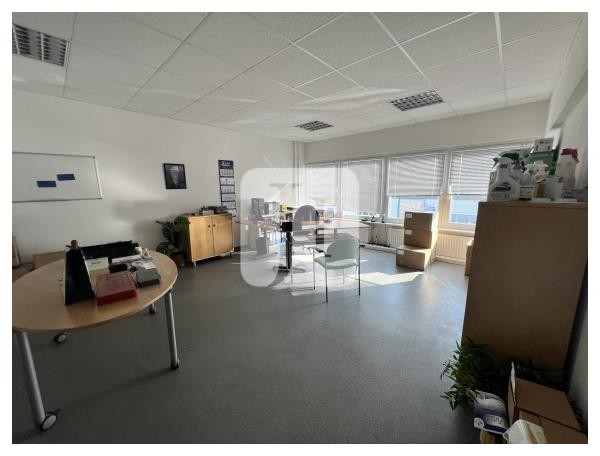 22145 Hamburg, Halle/Lager/Produktion zur Miete | Büro | Jacobi Immobilien