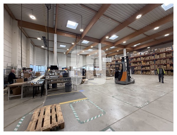 22045 Hamburg, Halle/Lager/Produktion zur Miete | Halle | Jacobi Immobilien