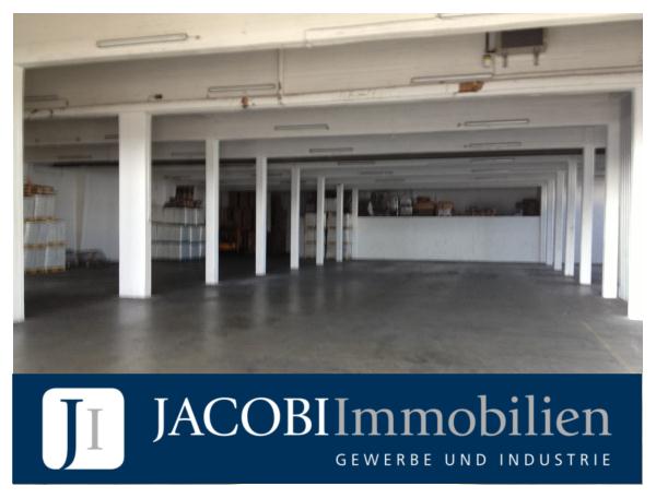 ca. 3.000 m² Lager-/Fertigungsflächen auf Rampenhöhe, bei Bedarf mit Büro-/Sozialflächen, 20539 Hamburg, Halle/Lager/Produktion