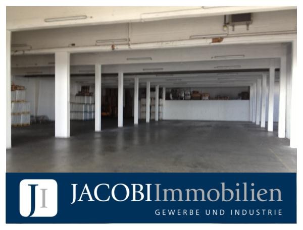ca. 3.000 m² Lager-/Fertigungsflächen auf Rampenhöhe, bei Bedarf mit Büro-/Sozialflächen, 20539 Hamburg, Halle/Lager/Produktion