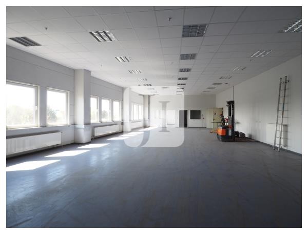 22113 Hamburg, Halle/Lager/Produktion zur Miete | Büro | Jacobi Immobilien