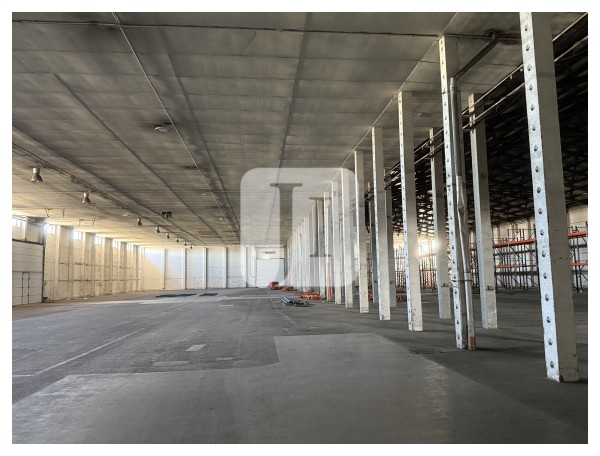 04758 Oschatz, Halle/Lager/Produktion zum Kauf | Lagerhalle | Jacobi Immobilien
