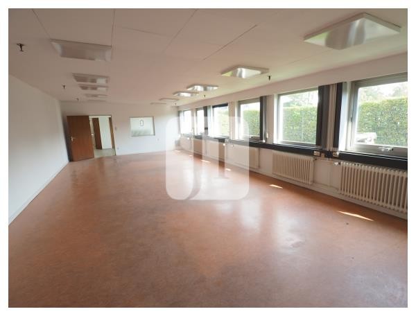 25462 Rellingen, Halle/Lager/Produktion zur Miete | Büro | Jacobi Immobilien