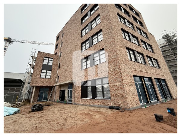 20539 Hamburg, Halle/Lager/Produktion zur Miete | Außenansicht | Jacobi Immobilien
