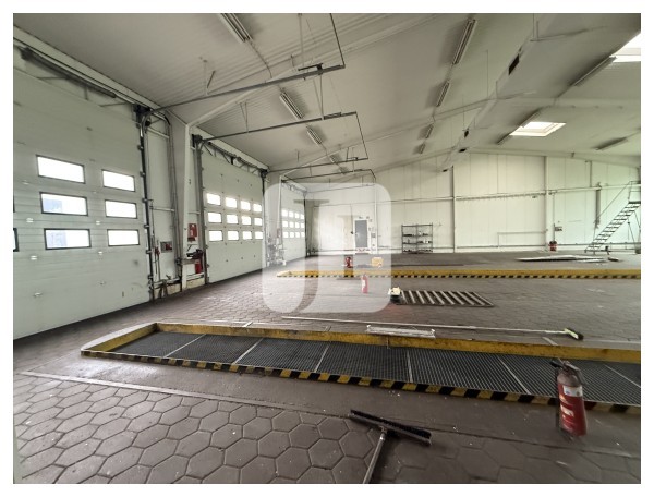 21465 Reinbek, Halle/Lager/Produktion zur Miete | Halle | Jacobi Immobilien