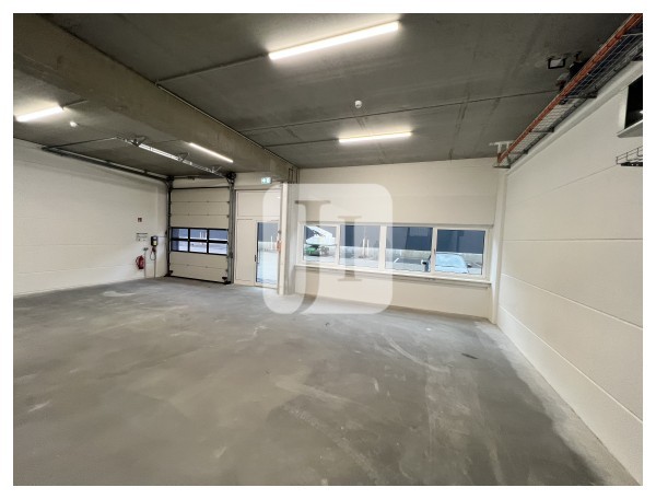 22045 Hamburg, Halle/Lager/Produktion zur Miete | Rolltor | Jacobi Immobilien