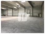 NEUBAU - ca. 1.500 m² Lager-/Produktionsfläche sowie ca. 350 m² Büro - Halle