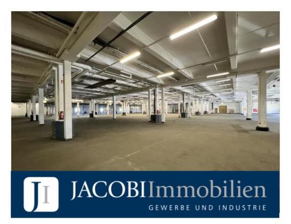 ca. 4.350 m² Rampenlagerfläche, ca. 1.630 m² Lagerempore sowie ca. 150 m² Büro, 22113 Hamburg, Halle/Lager/Produktion