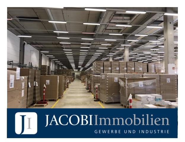 ca. 4.350 m² Rampenlagerfläche, ca. 1.630 m² Lagerempore sowie ca. 150 m² Büro, 22113 Hamburg, Halle/Lager/Produktion