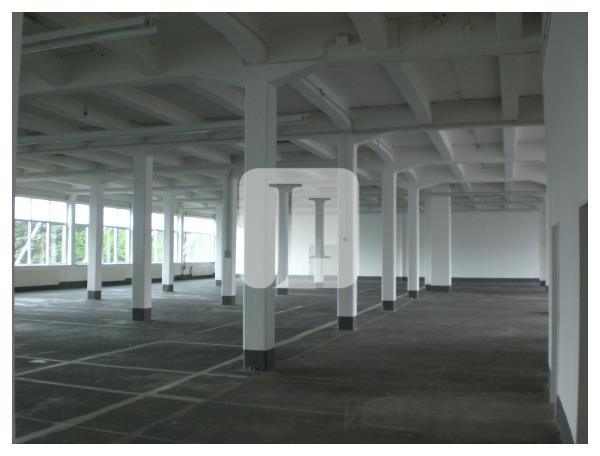 22453 Hamburg, Halle/Lager/Produktion zur Miete | Beispiel | Jacobi Immobilien