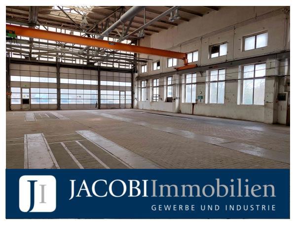 REVITALISIERUNG – ca. 734 m² moderne Hallenfläche mit optionalen Büro, 01099 Dresden, Halle/Lager/Produktion
