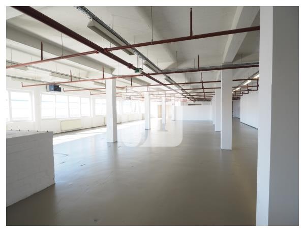 20537 Hamburg, Halle/Lager/Produktion zur Miete | Halle | Jacobi Immobilien