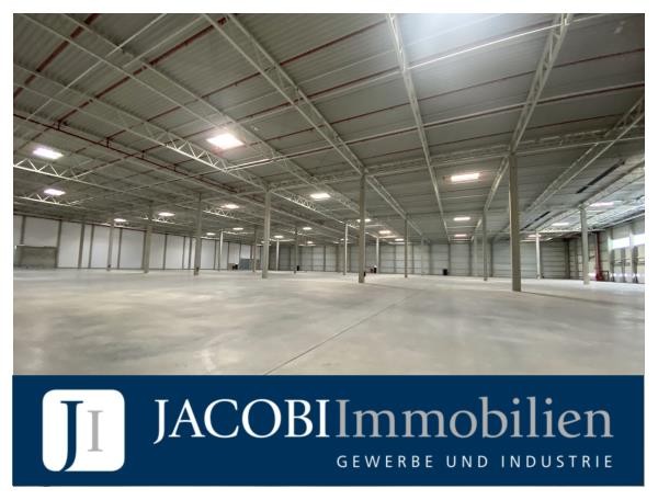 NEUBAU – ca. 20.335 m² Lager-/Produktionsfläche (teilbar ab ca. 1.000 m²) auf großflächigem Gewerbehof, 25421 Pinneberg, Halle/Lager/Produktion