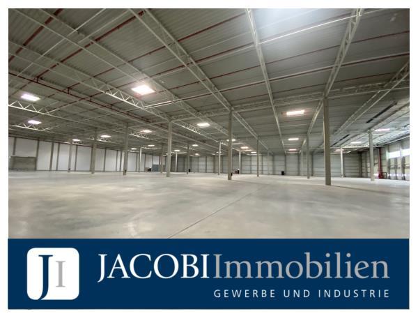 NEUBAU – ca. 23.000 m² Lager-/Produktionsfläche (teilbar ab ca. 1.000 m²) auf großflächigem Gewerbehof in ruhiger Lage, 25421 Pinneberg, Halle/Lager/Produktion